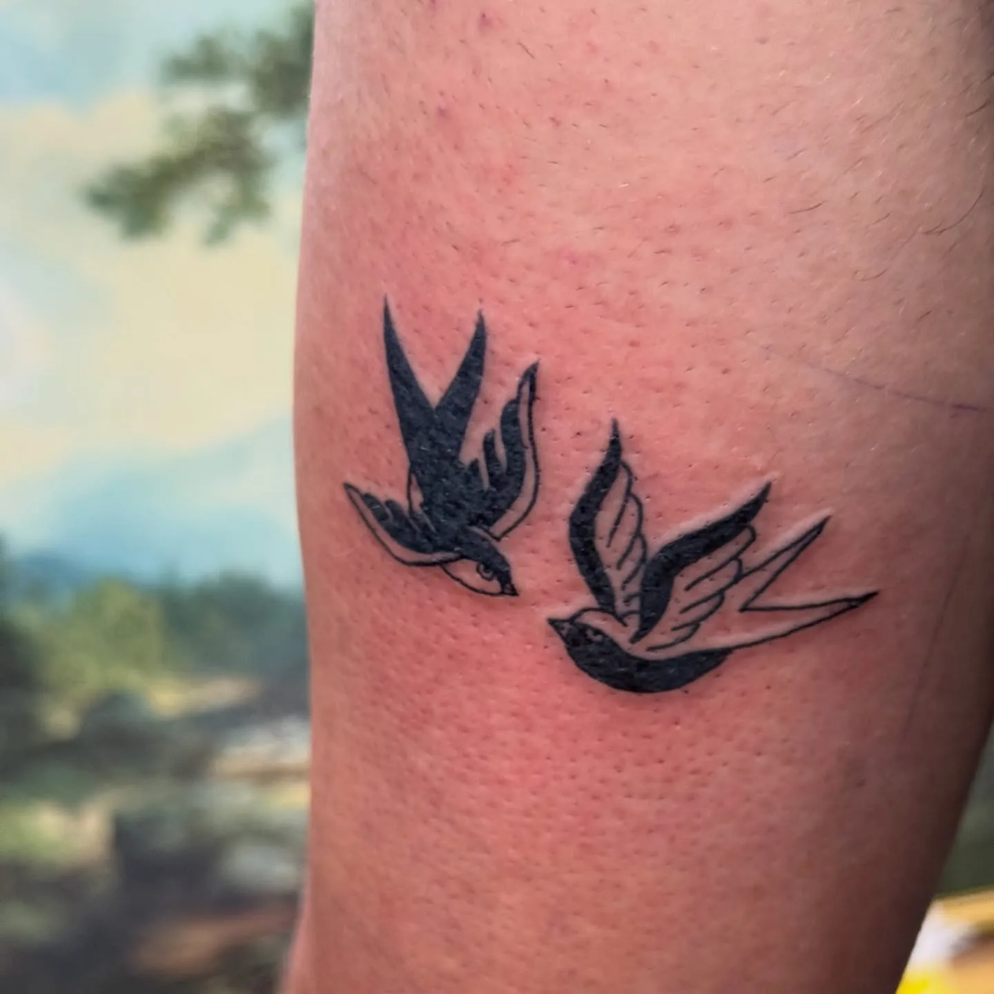 Bold traditional swallow tattoos on an arm